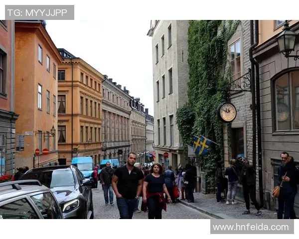 足球明星与空姐的浪漫故事探寻与小说推荐之旅